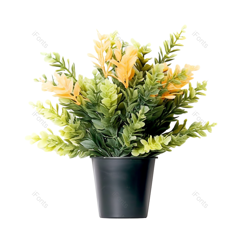 黄色的花图片,摄影元素,白色背景PNG,自然免抠素材